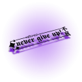 nevergiveup.png