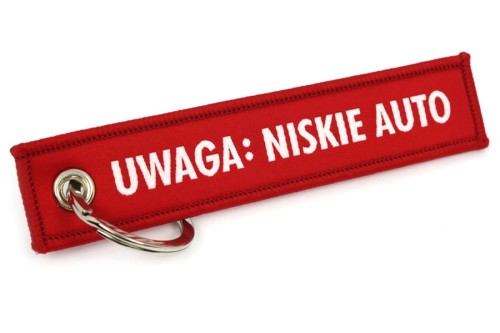 niskieauto1.JPG